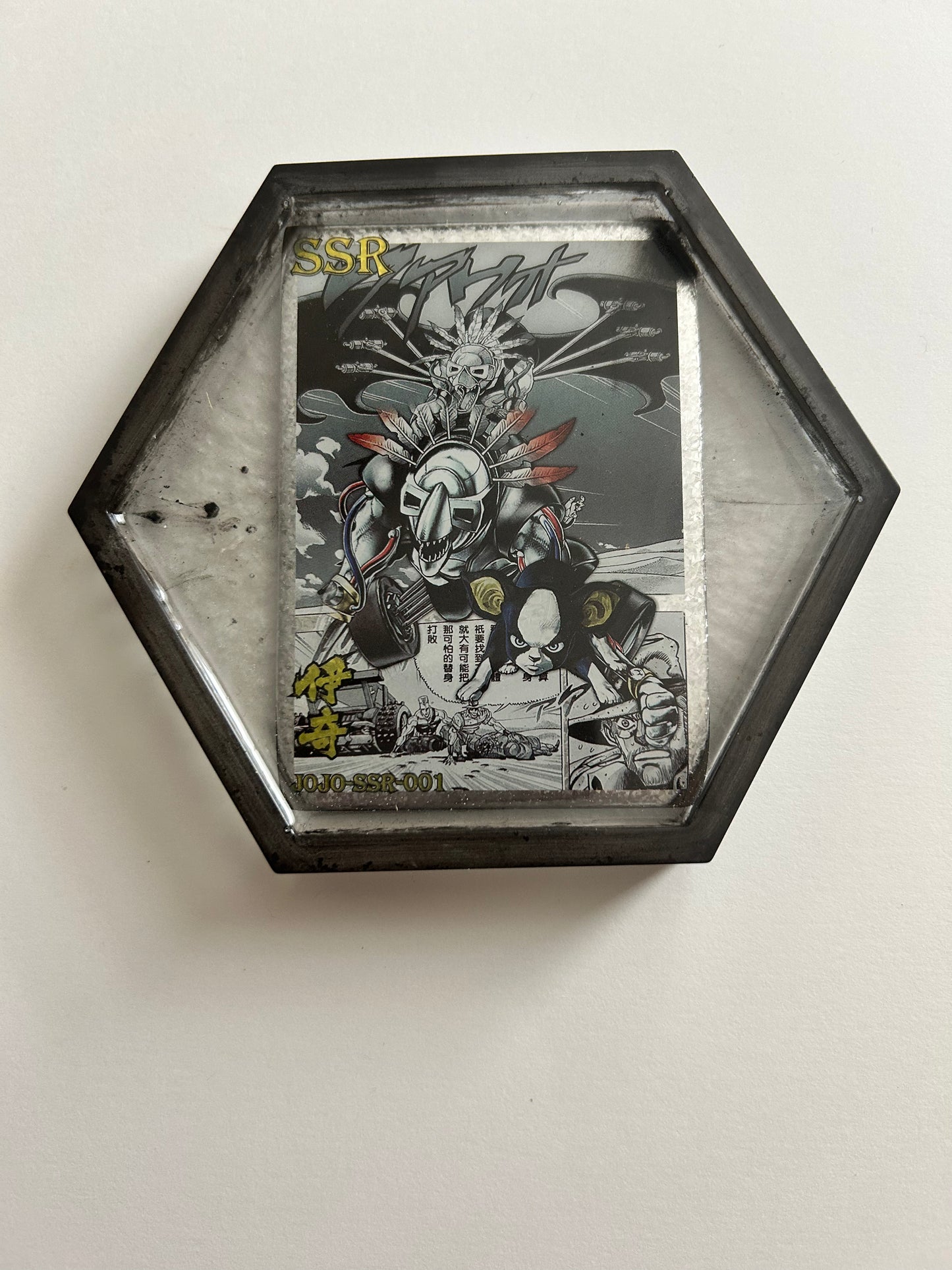 Iggy Coaster