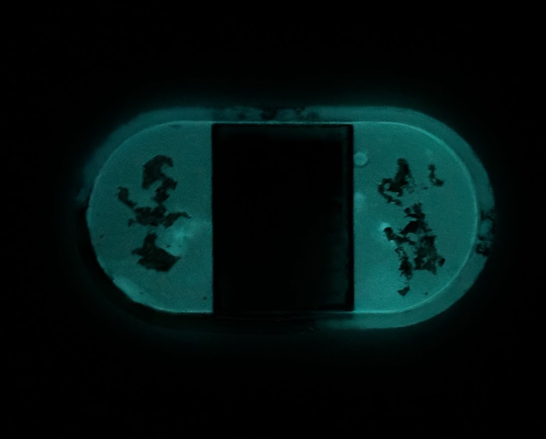Team Avatar Tray